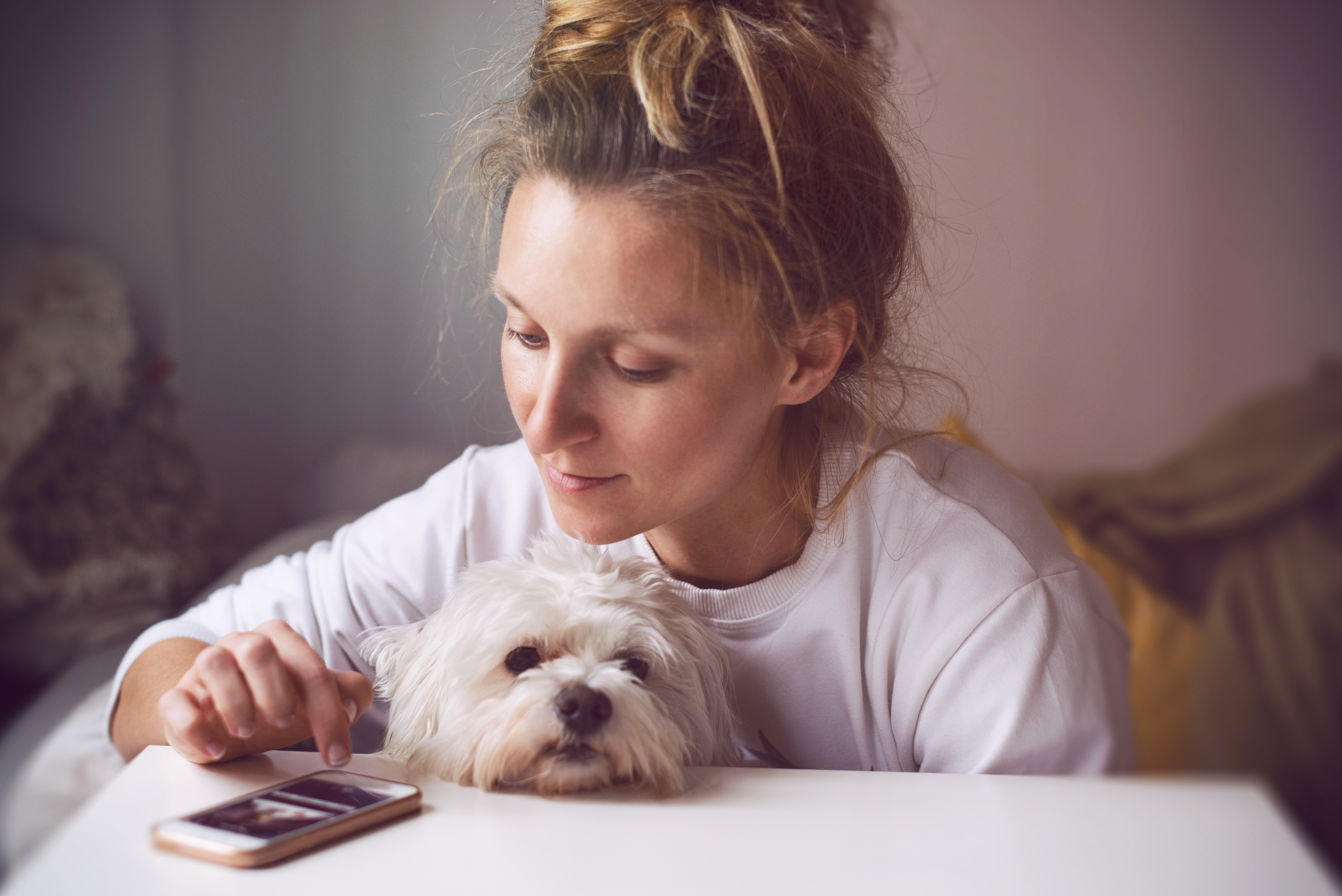 Dame som sitter ved et bord og sjekker mobilen. Hun har en hvit hund på fanget. Hunden hviler haken på bordet.